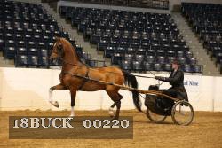 18BUCK_00220 proof