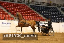 18BUCK_00221 proof