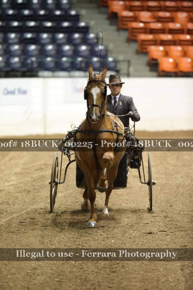 Proof 18BUCK_00225