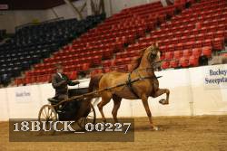 18BUCK_00227 proof