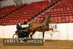 18BUCK_00229 proof