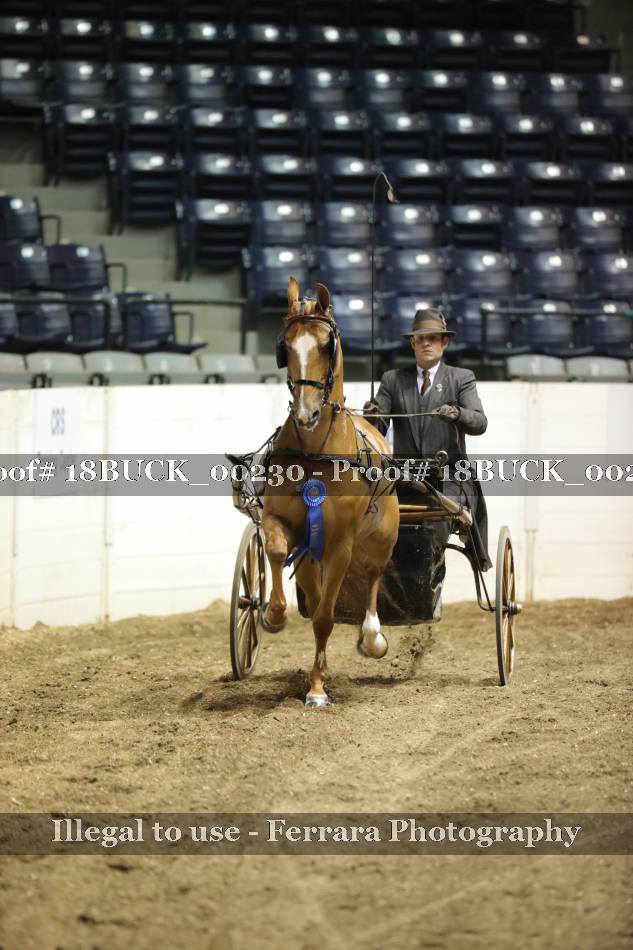 Proof 18BUCK_00230