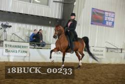18BUCK_00233 proof