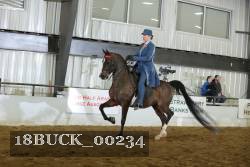 18BUCK_00234 proof