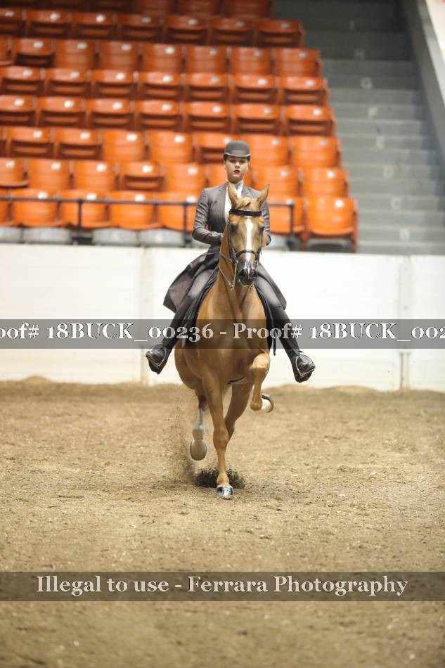 Proof 18BUCK_00236