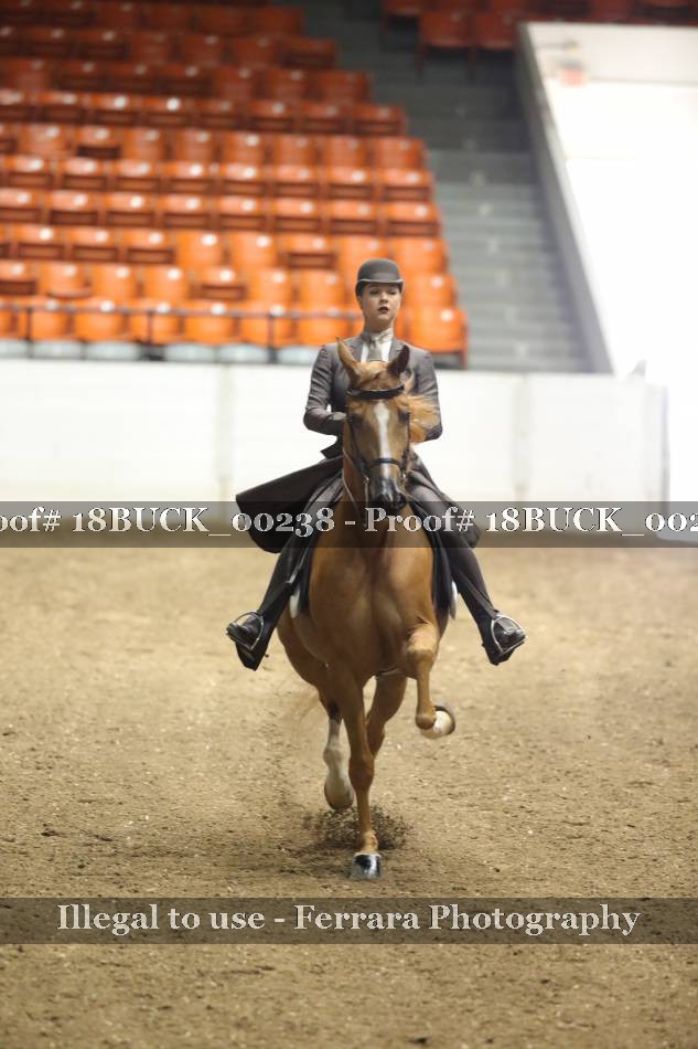 Proof 18BUCK_00238