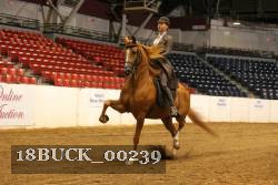 18BUCK_00239 proof