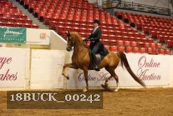 18BUCK_00242 proof