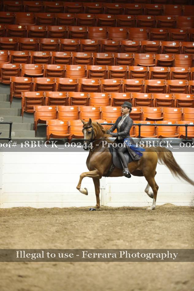 Proof 18BUCK_00244