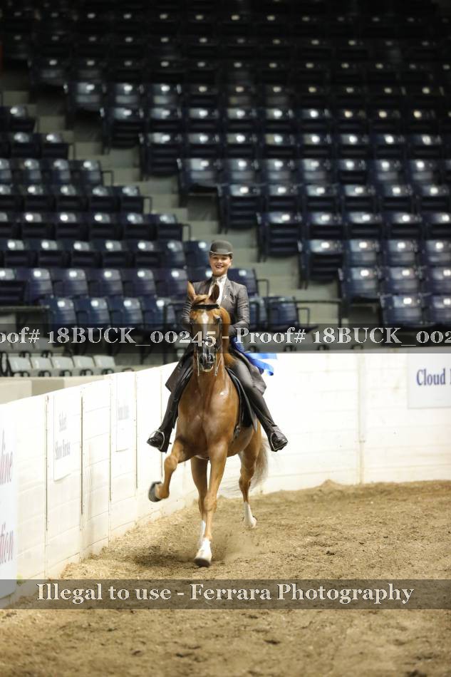 Proof 18BUCK_00245
