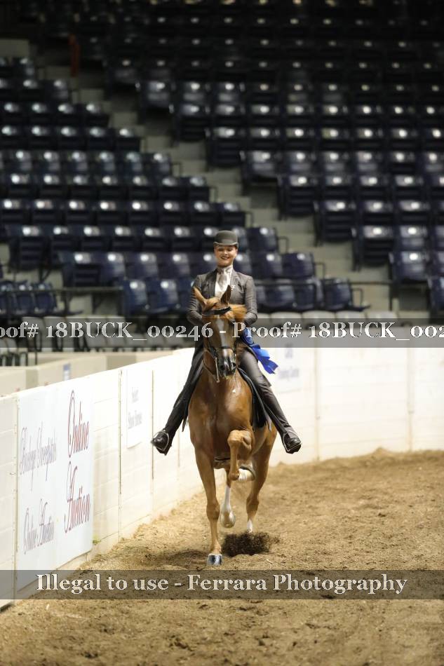Proof 18BUCK_00246