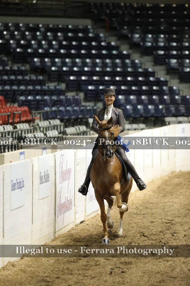 Proof 18BUCK_00247