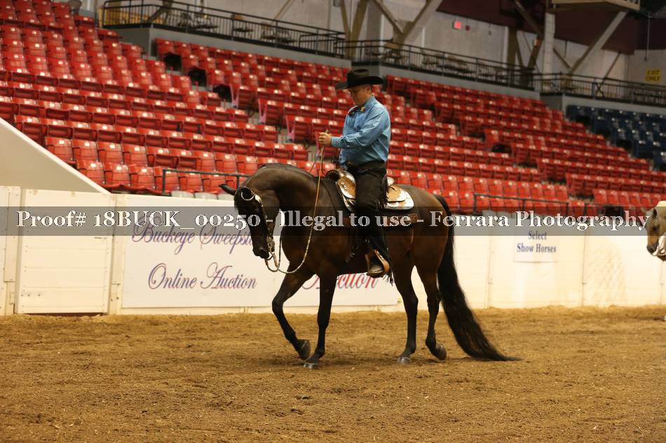 Proof 18BUCK_00250