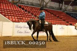 18BUCK_00250 proof