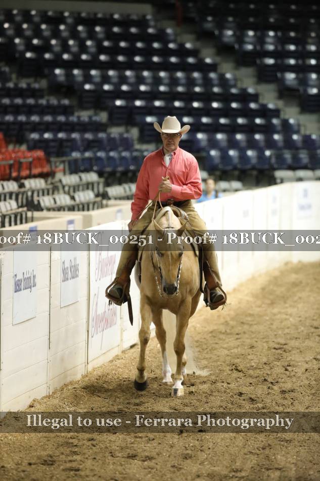 Proof 18BUCK_00251