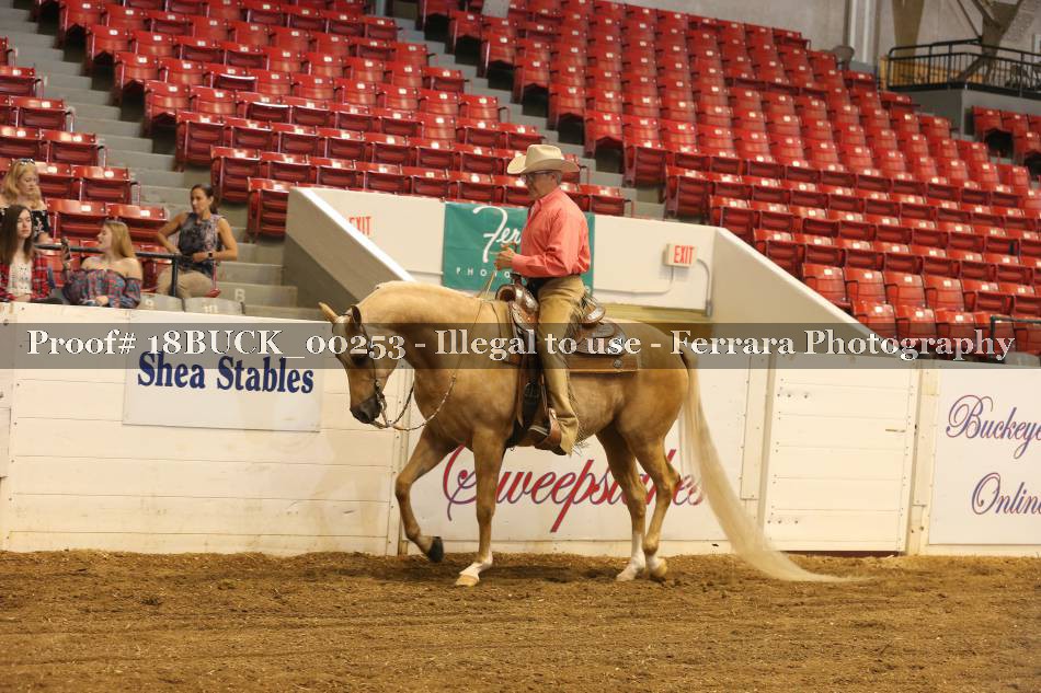 Proof 18BUCK_00253