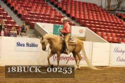 18BUCK_00253 proof