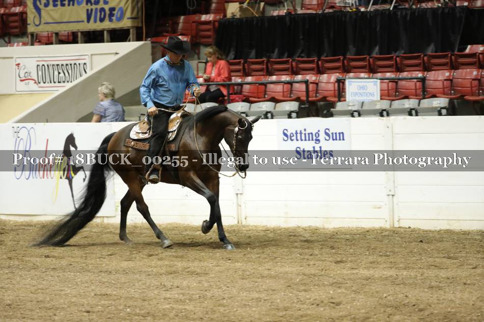 Proof 18BUCK_00255