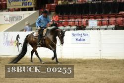 18BUCK_00255 proof