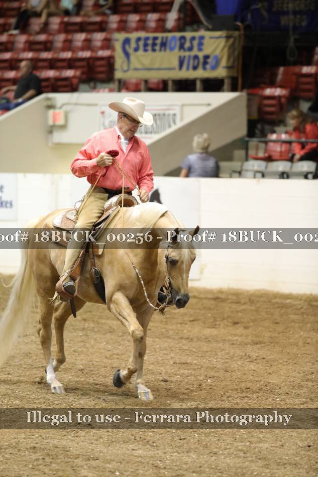 Proof 18BUCK_00256
