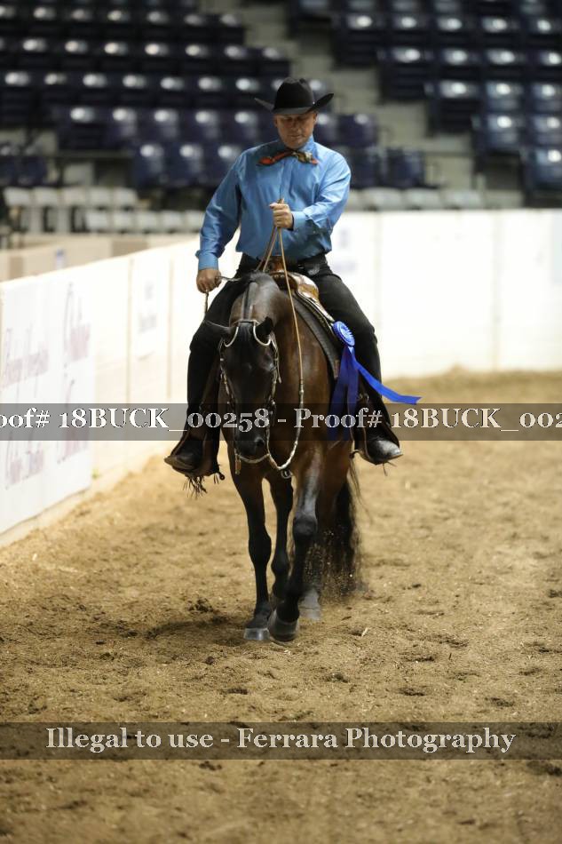 Proof 18BUCK_00258