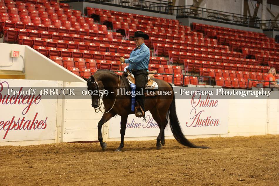 Proof 18BUCK_00259