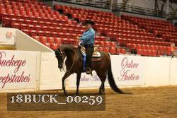 18BUCK_00259 proof