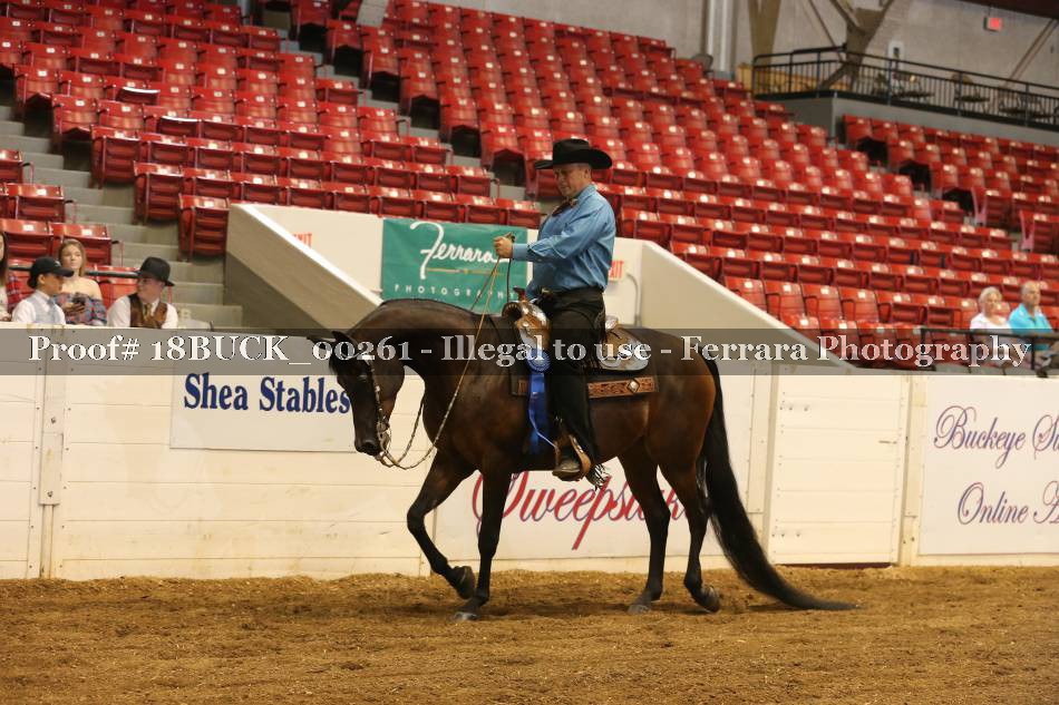 Proof 18BUCK_00261