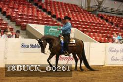 18BUCK_00261 proof