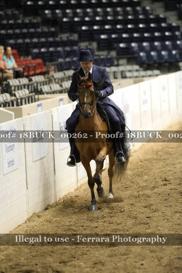 Proof 18BUCK_00262