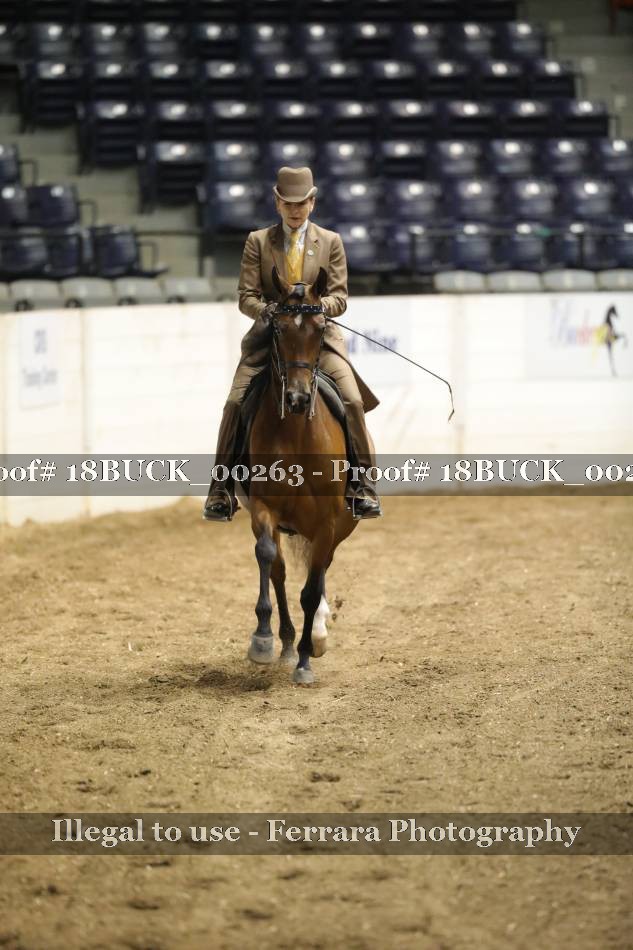 Proof 18BUCK_00263