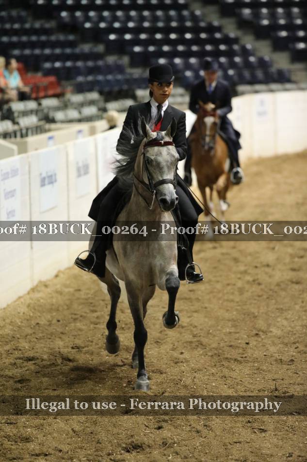 Proof 18BUCK_00264