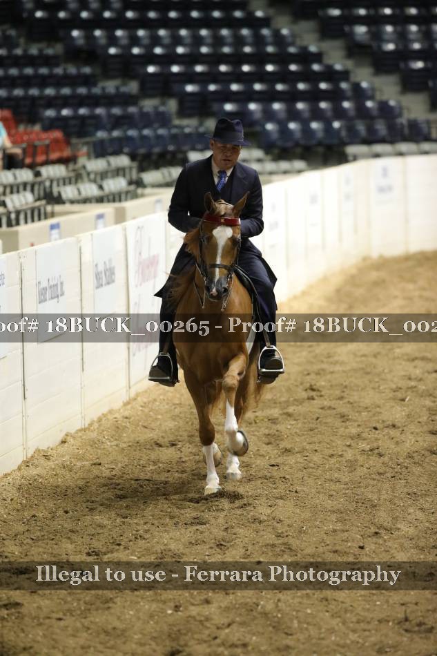 Proof 18BUCK_00265