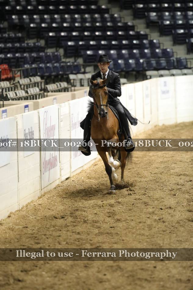Proof 18BUCK_00266