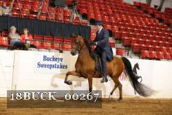 18BUCK_00267 proof