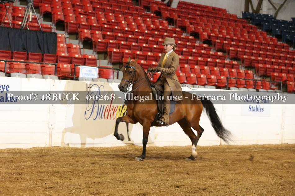 Proof 18BUCK_00268