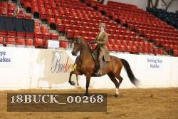 18BUCK_00268 proof