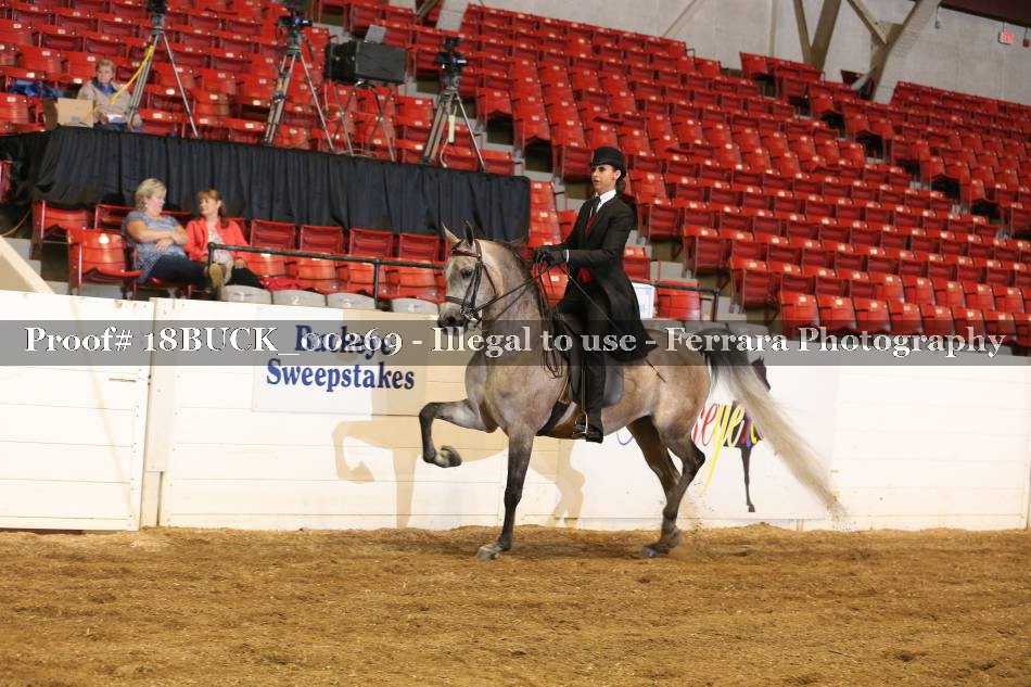 Proof 18BUCK_00269