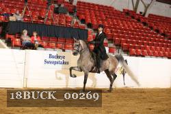 18BUCK_00269 proof