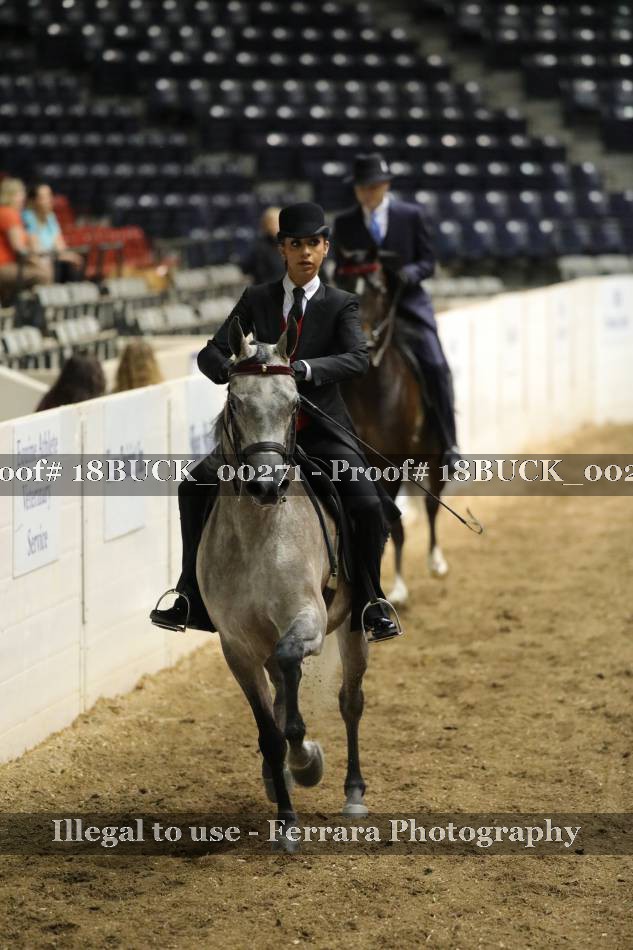 Proof 18BUCK_00271
