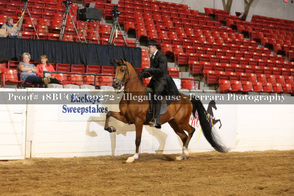 Proof 18BUCK_00272