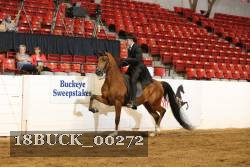 18BUCK_00272 proof