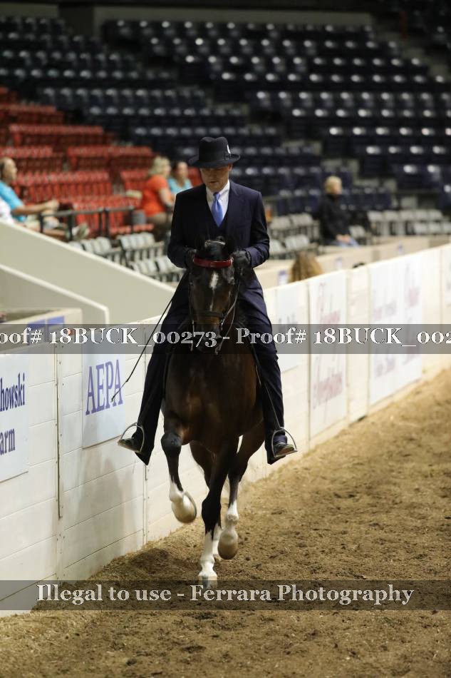 Proof 18BUCK_00273