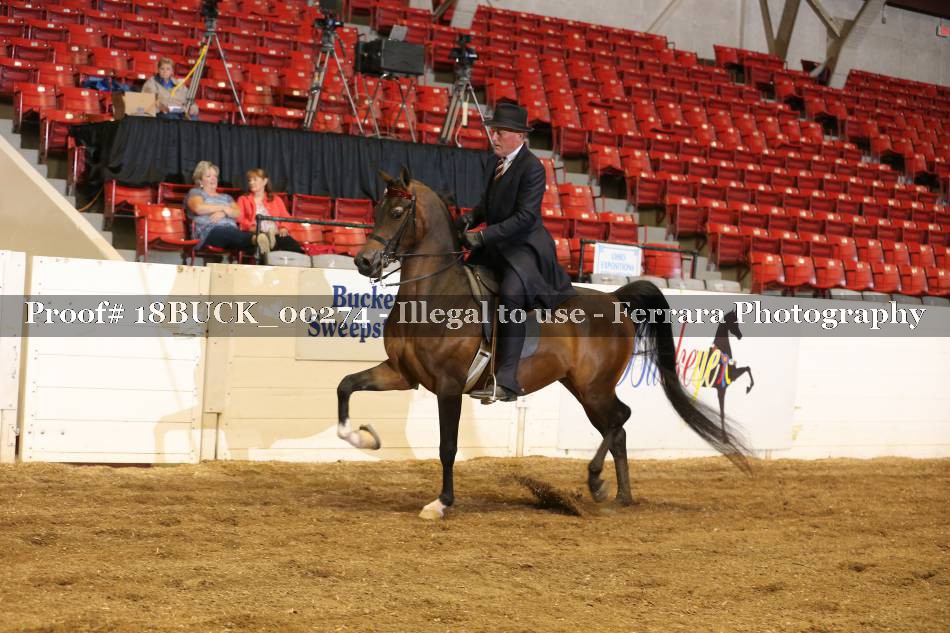 Proof 18BUCK_00274
