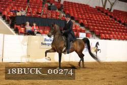 18BUCK_00274 proof