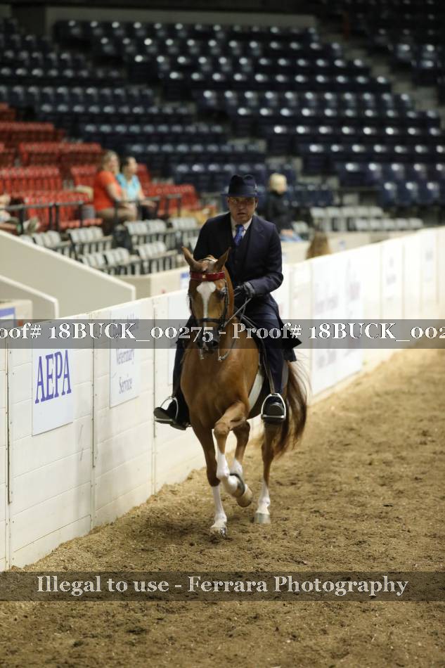 Proof 18BUCK_00275