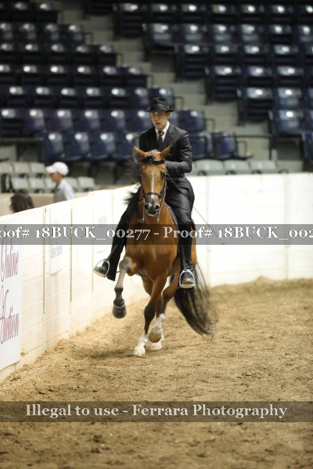 Proof 18BUCK_00277