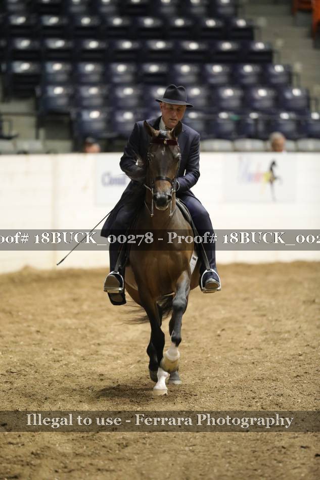 Proof 18BUCK_00278