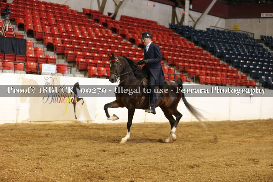 Proof 18BUCK_00279