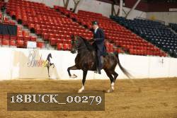 18BUCK_00279 proof